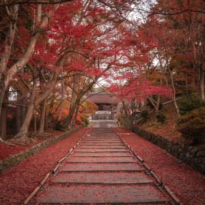 Historic hillside Buddhist temple surrounded by seasonal trees in Kyoto.