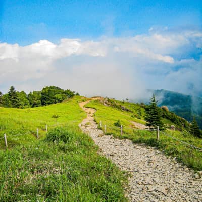 Panoramic ridgeline scenery at Mount Daibosatsu, one of Japan's 100 Famous Mountains in Yamanashi.