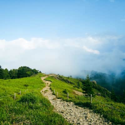 Panoramic ridgeline scenery at Mount Daibosatsu, one of Japan's 100 Famous Mountains in Yamanashi.