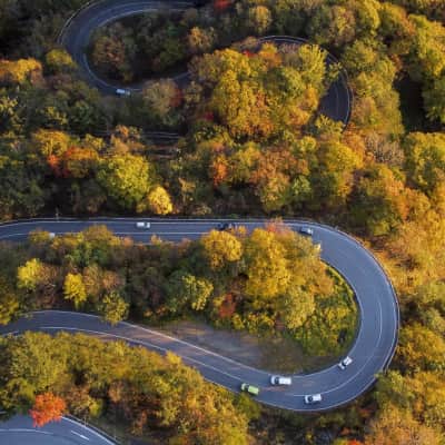 Scenic mountain road winding through the forests of Nikko with panoramic valley views.