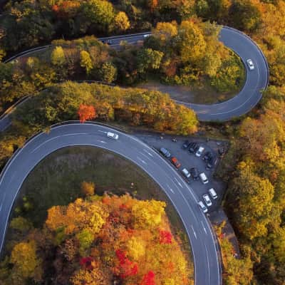 Scenic mountain road winding through the forests of Nikko with panoramic valley views.