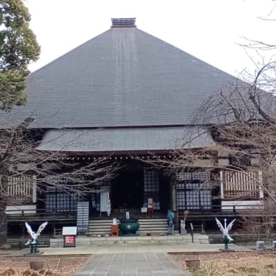 Kuhonbutsu Joshin-ji Temple image