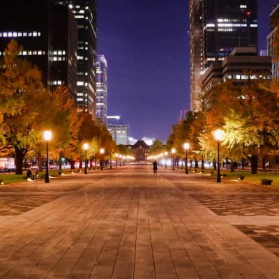 Gyoko-dori Avenue with Tokyo Station and tree-lined walkway