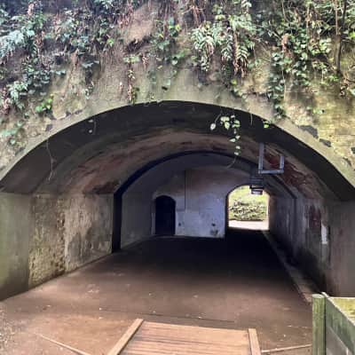 Sarushima Island image