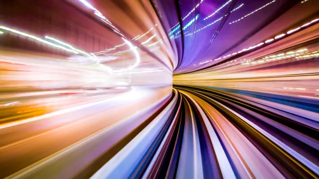 The Picture of Lines and Curves in Tokyo