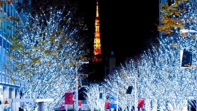 Tokyo Tower 10 Best and Hidden Spots to Take a Picture
