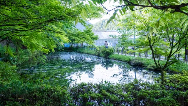 A pond in Japan that is famous for its resemblance to the famous painting Monet's pond