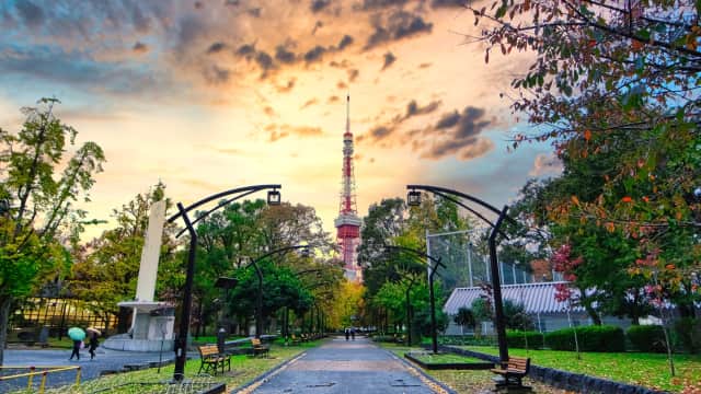 Straight view point to Tokyo Tower from Shiba Park