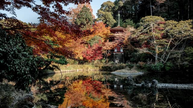 Joruri-ji Temple - Heian period temple Kyoto