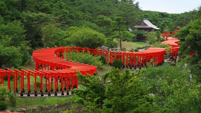 Takayama Inari Shrine Aomori - Aomori vermilion torii tunnel photo spot