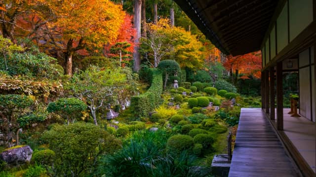Sanzen in temple autumn foliage photo spot in kyoto