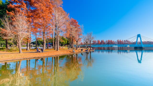 mizumoto park scenic and peaceful retreat in tokyo