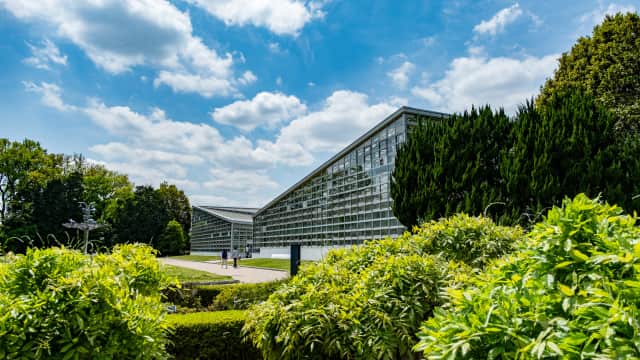 The greenhouse at Jindai Botanical Gardens featuring tropical plants