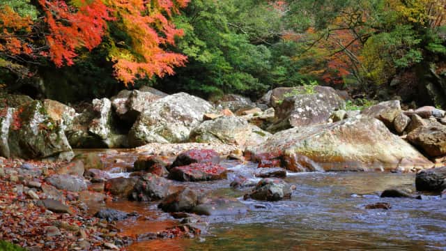 Scenic view of Kuroson Gorge with emerald river and forested valley.