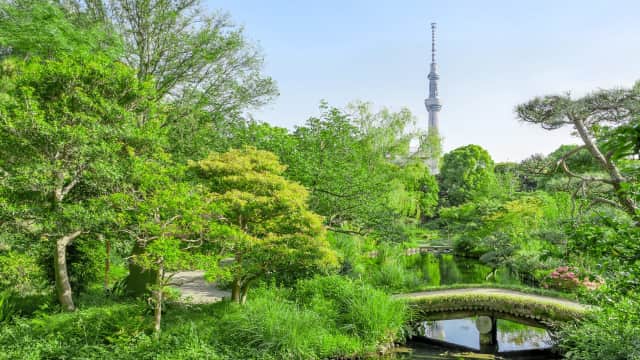 Historic Mukojima-Hyakkaen Gardens featuring seasonal blooms, ponds, and traditional garden paths