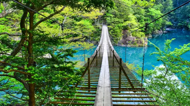 yume no tsuribashi suspension bridge in shizuoka japan