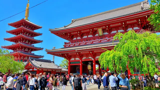 sensoji temple in asakusa japan