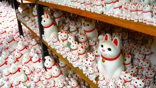 Gotokuji Temple the Tokyo cat temple maneki neko