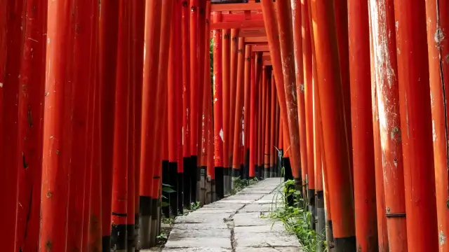 red torri gates and torii tunnel in nezu shrine, tokyo