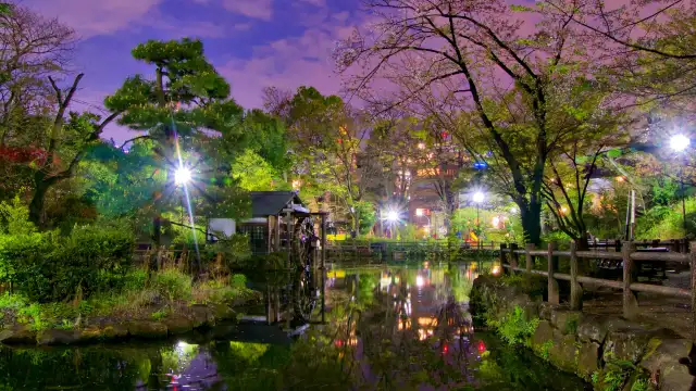 Nabeshima Shoto Park - Tokyo cherry blossom parks