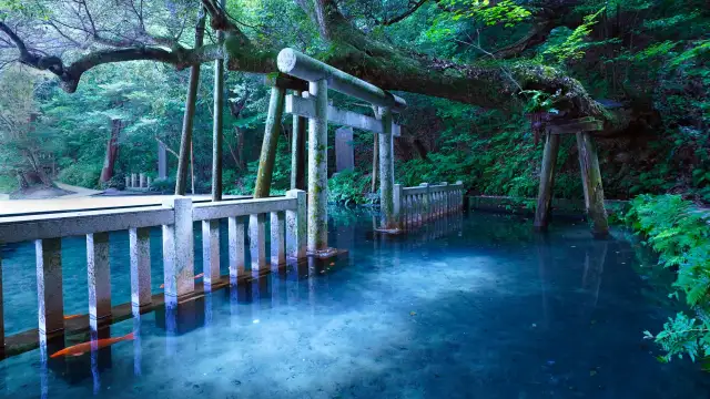 Kashima Shrine Ibaraki - Mitarashi Pond