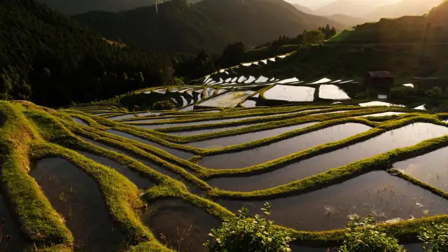 Maruyama Senmaida - Kumano rice terraces in Japan