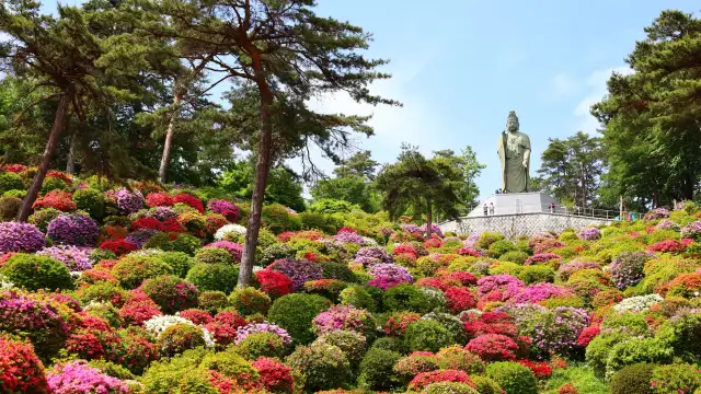 Shiofune Kannonji Azalea Festival - Tokyo azalea viewing spots