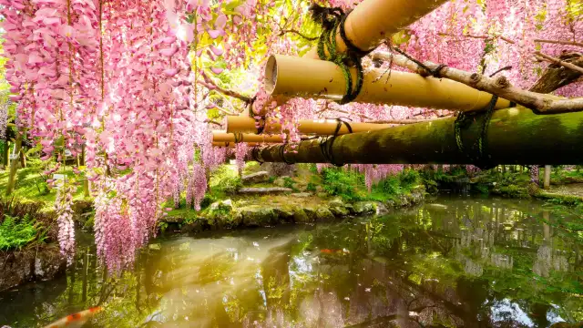 Manyō Botanical Garden Kasuga Taisha - nara flower garden japan