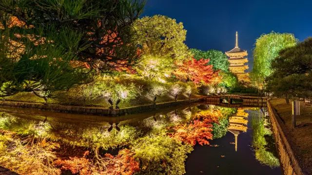 To-ji Temple Kyoto - tallest wooden pagoda in Japan and UNESCO heritage temple
