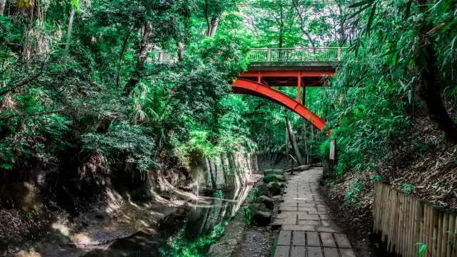 Todoroki Ravine Valley Tokyo - Hidden oasis in Tokyo