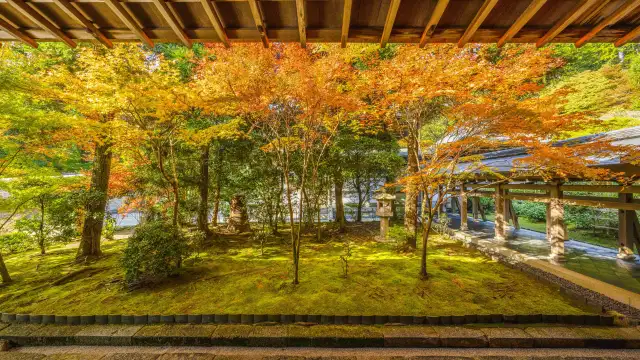 Ryoan‑ji Temple Kyoto - Japanese rock garden