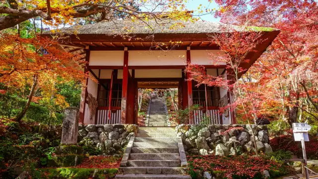 Jojakko‑ji Temple Kyoto - Kyoto temple off the beaten path