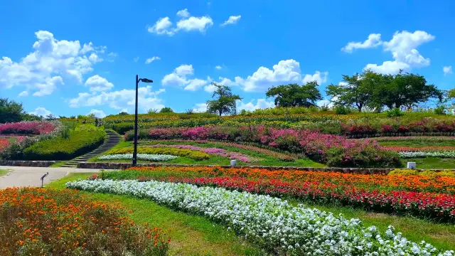 Umami‑kyūryō Park Nara - Nara seasonal flower park