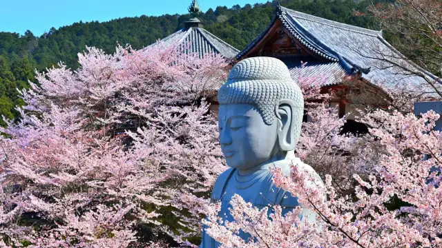 12 Famous Giant Buddha Statues in Japan Worth Visiting