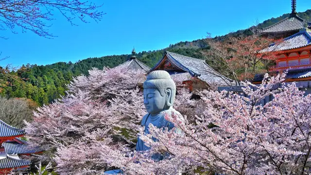 Tsubosaka‑dera Temple - Temple for Eye Healing in Nara