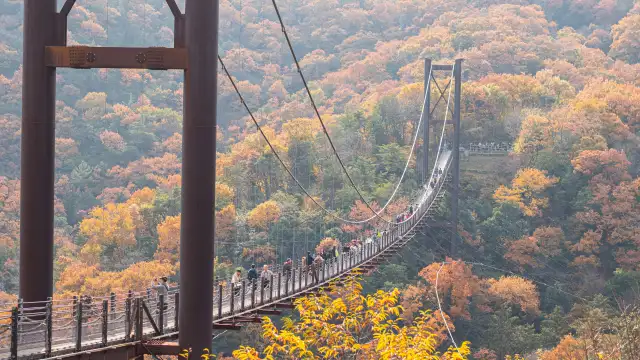 Hoshi no Buranko Bridge - Hoshida Park Katano Osaka with autumn foliage