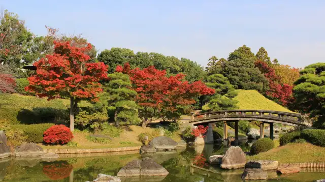 Daisen Park in Osaka - photogenic must visit park in osaka for cherry blossoms and maple leaves