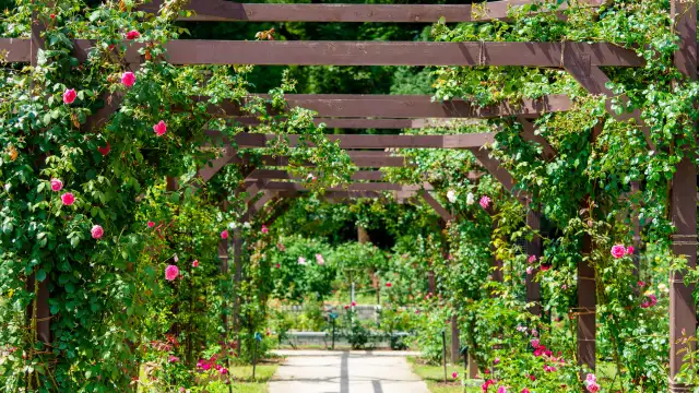 Nagai Botanical Garden Osaka - TeamLab Botanical Garden Osaka