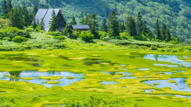 Hikers walk along wooden boardwalks through the alpine wetlands of Kouya Pond, surrounded by colorful seasonal vegetation and panoramic views of the mountains in Myoko-Togakushi Renzan National Park.