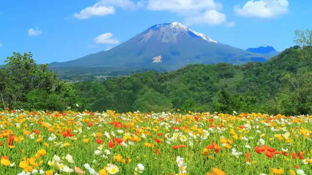 Mount Daisen’s scenic hiking trail winding through lush beech forests and ascending toward the mountain summit, showcasing one of western Japan’s most iconic volcanic peaks.