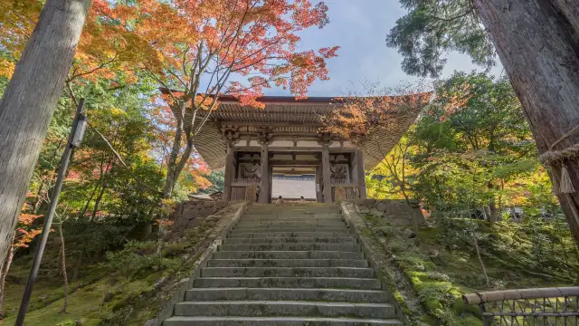 Traditional Japanese temple architecture at Saimyoji Temple, featuring ancient cedar-lined pathways, lush moss, and seasonal scenery.