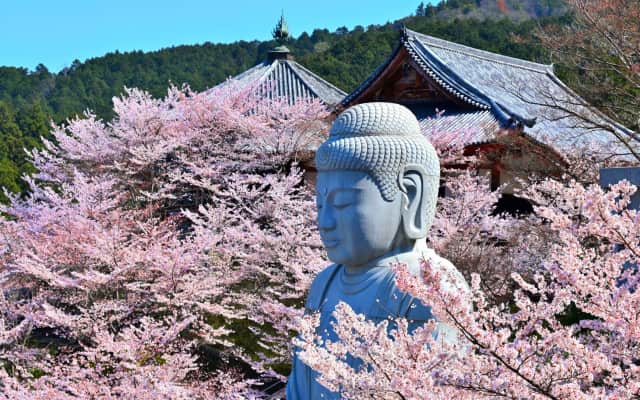 12 Famous Giant Buddha Statues in Japan Worth Visiting