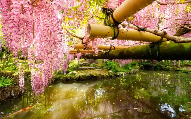 Manyo Botanical Gardens