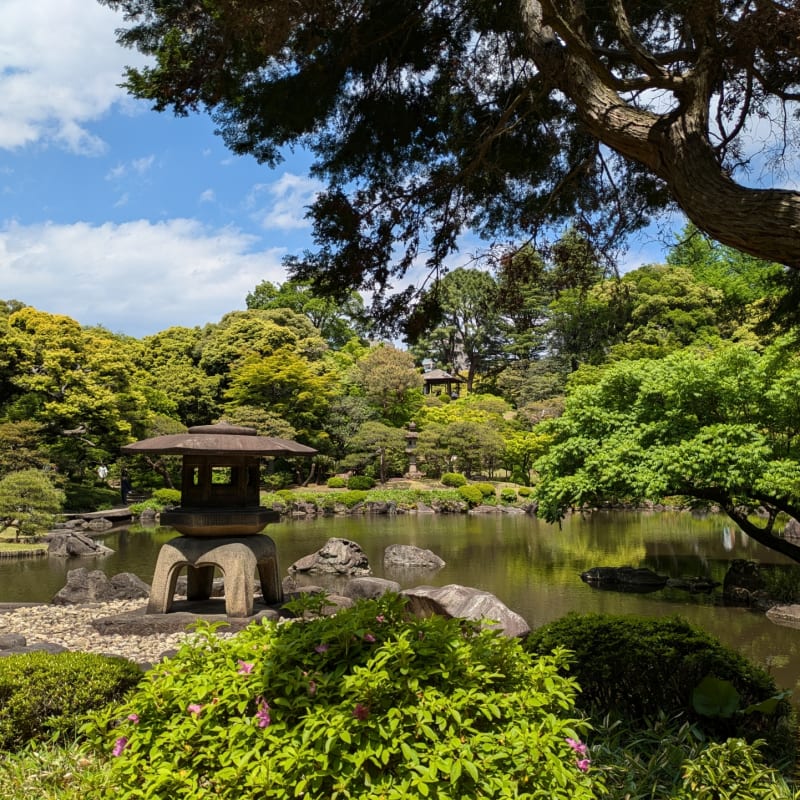 Kyu-Furukawa Gardens - Tokyo autumn foliage spot