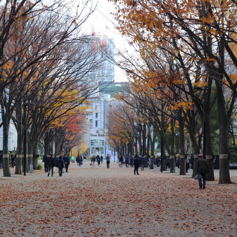 Yoyogi Park Tokyo - Best parks in Tokyo