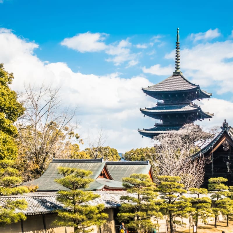 To-ji Temple Kyoto - tallest wooden pagoda in Japan and UNESCO heritage temple