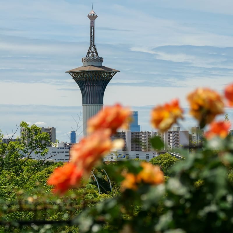 Tsurumi Ryokuchi Park in Osaka - Flower Expo Memorial Park