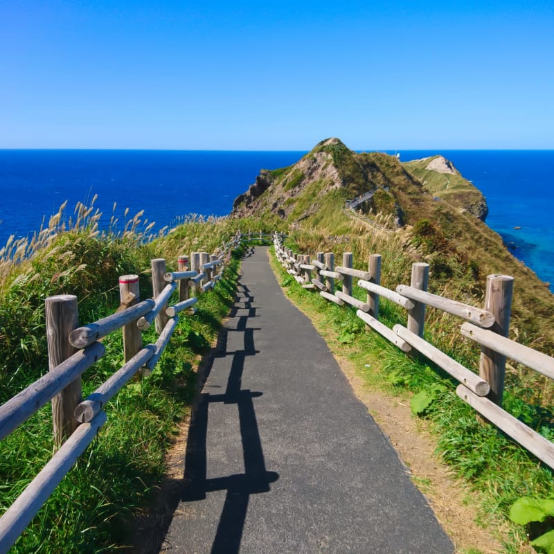 Coastal cliffs and blue sea at Cape Kamui in Hokkaido