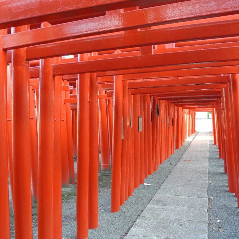 Vermilion torii gates forming tunnel pathways at a rural shrine in Gunma