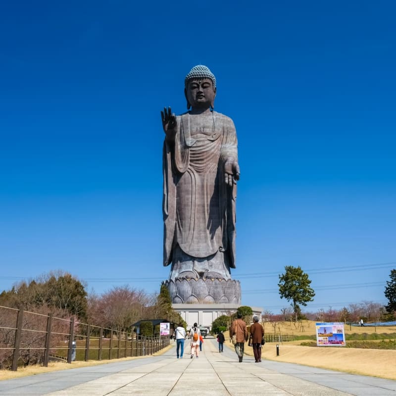 A colossal bronze Buddha statue towering above seasonal gardens and walking paths at Ushiku Daibutsu in Ibaraki, Japan, with visitors exploring the temple grounds beneath clear skies.